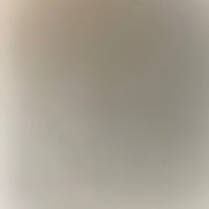 Meet your Posher, Deanna